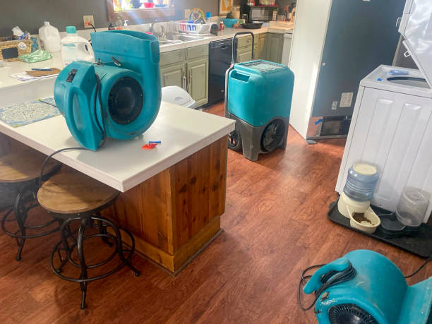 Best Professional water damage repair  in Parrish, AL