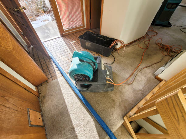 Best 24/7 water damage repair  in Parrish, AL