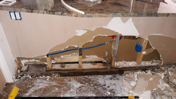 Best Water damage restoration near me  in Parrish, AL