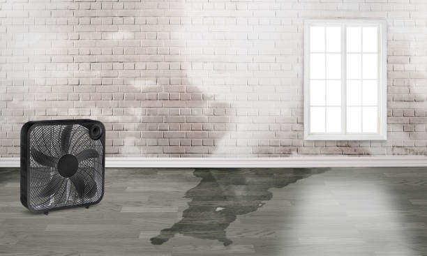 Best Commercial water damage restoration  in Parrish, AL