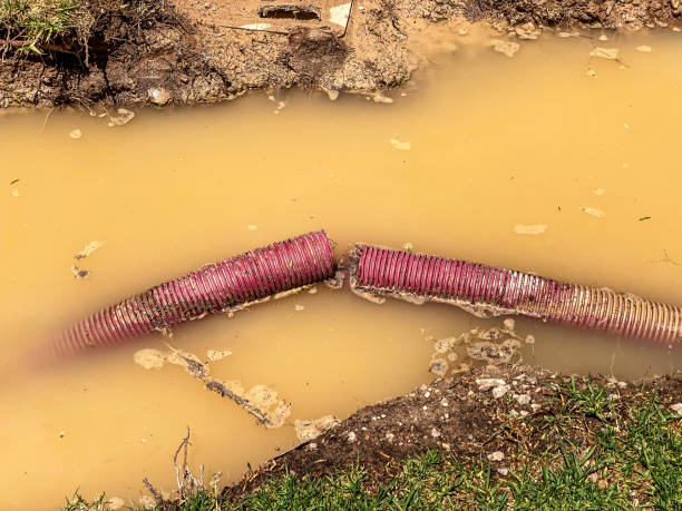 Best Sewage cleanup and water damage restoration  in Parrish, AL
