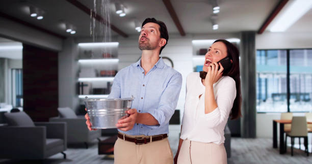 Best Basement water damage restoration  in Parrish, AL