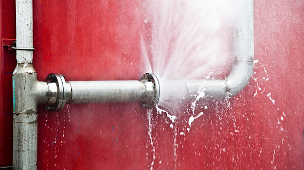 Best Local water damage restoration  in Parrish, AL
